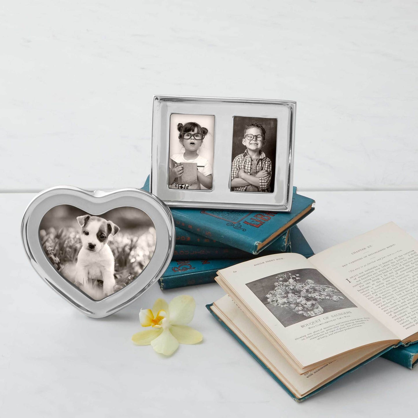 Double 2x3 Silver Picture Frame