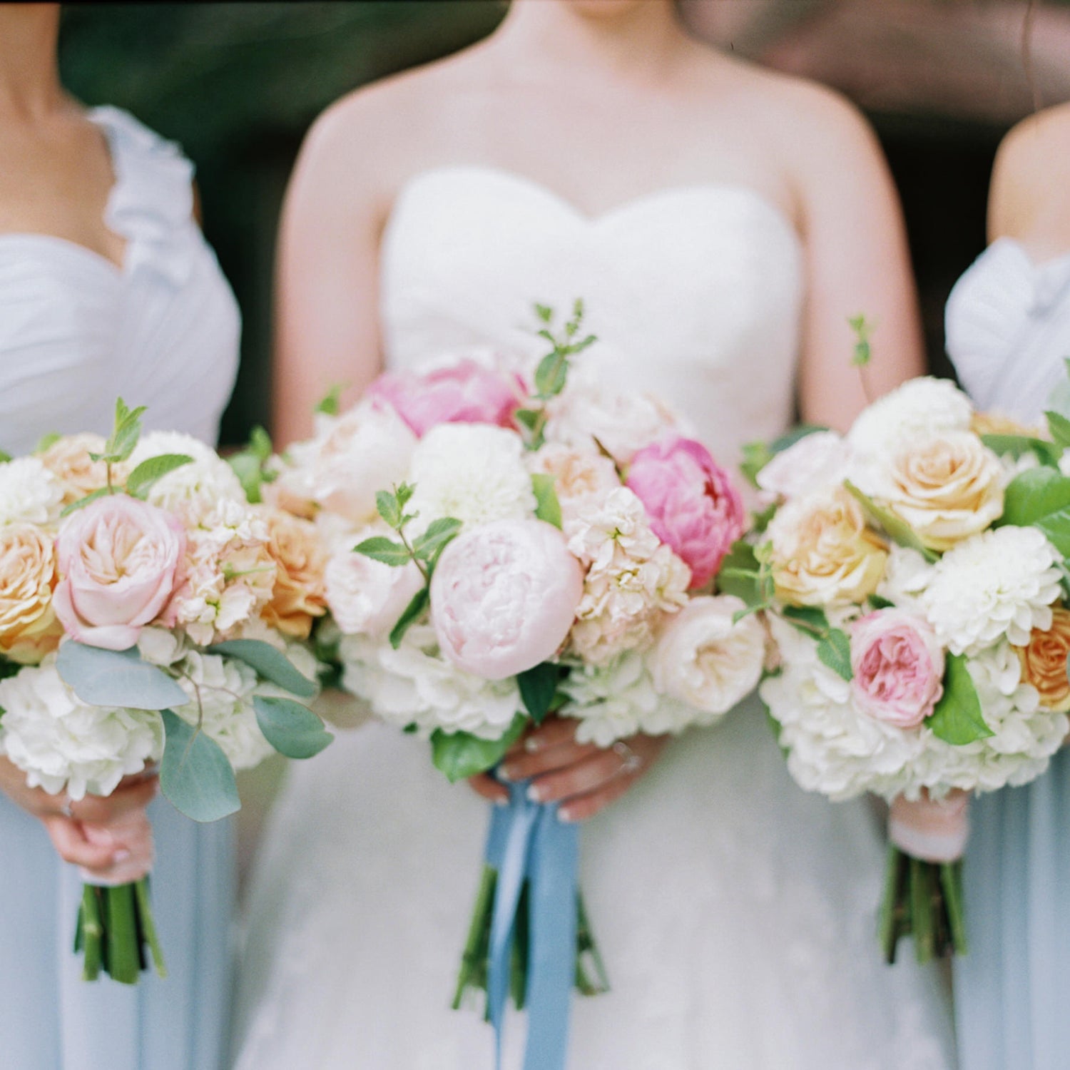 bride and bridesmaids standing in a row