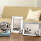 Starfish Silver Picture Frame